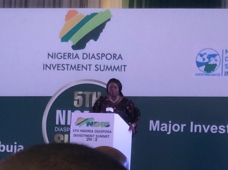 Diaspora Mortgage Scheme opens globally after NDIS – Dabiri-Erewa
