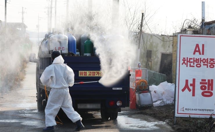 S/Korea reports 2 more avian influenza cases