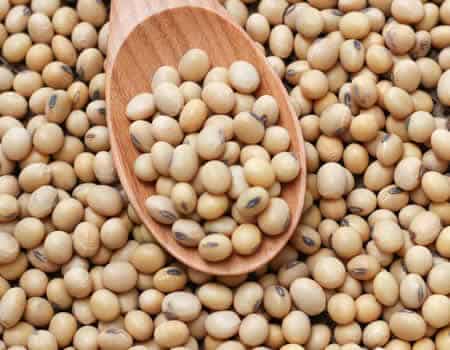 NEPC seeks collaboration to boost Soya beans production, export