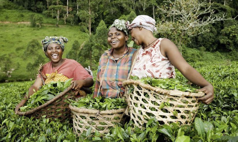 ActionAid, women farmers call for urgent completion of BOA recapitalisation