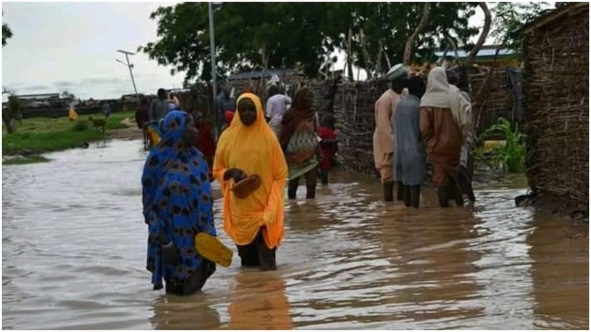 Yobe LG empowers 300 flood victims with farm equipment