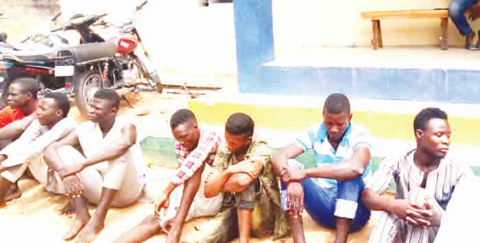 Police parade 20 suspects in Gombe over alleged criminal offences