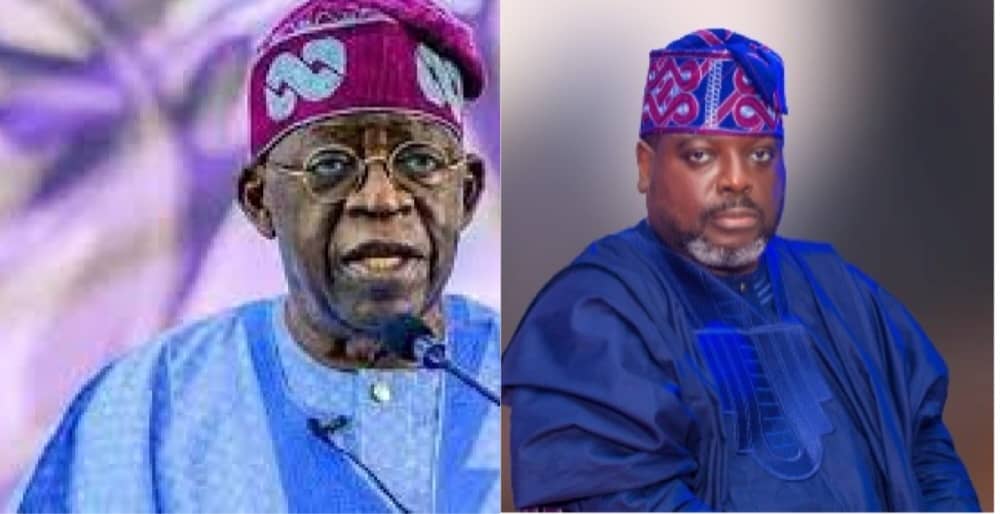 Tinubu’s subsidy removal in Nigeria’s best interest-Omole