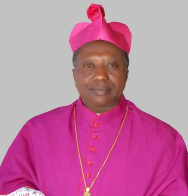 Catholic Bishop seeks critical infrastructure in rural communities