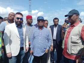 Gully erosion in Anambra shocks works minister