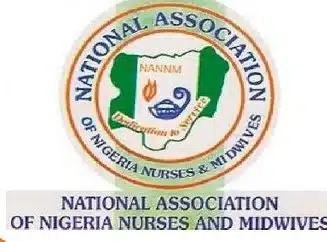 Nurses in Ebonyi elect new leadership through electronic voting