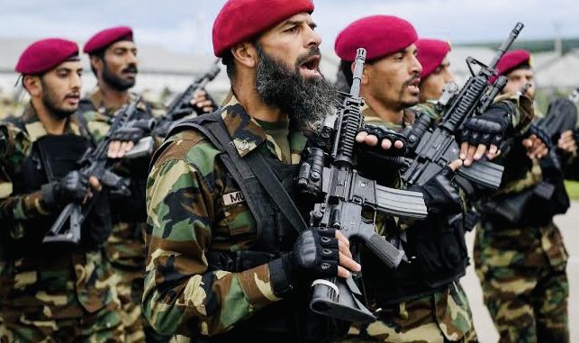 Pakistani troops kill 8 Islamist insurgents amid rising violence