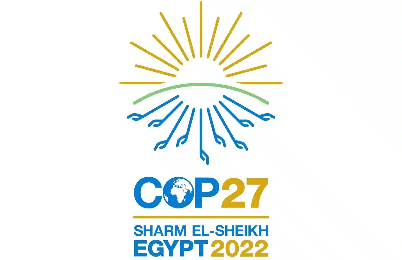 CoP 28: Revisiting Osinbajo’s Debt-for-Climate swap proposal