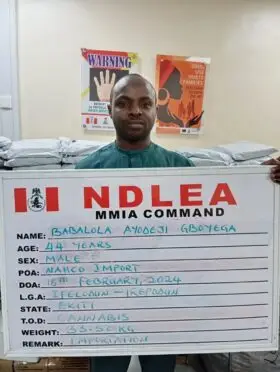 NDLEA intercepts large consignment of Loud concealed in loudspeakers at Lagos airport