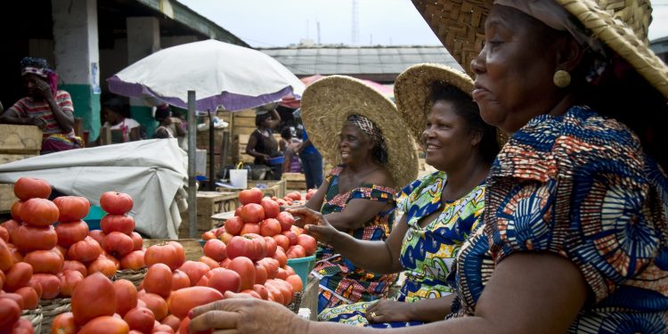 Lagos market clash: Unions threaten to cut tomato supply