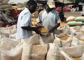Grain sellers, consumers want FG to introduce price control