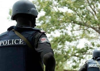 State police: A desirable move with huge challenges, by Francis Onyeukwu