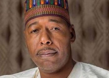 Borno govt. approves N637m for registration, allowances of nursing students