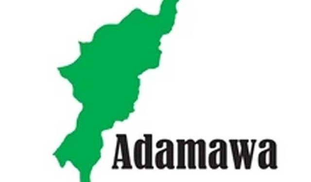 Measles: Adamawa Govt. extends school resumption by one week