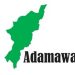 Measles: Adamawa Govt. extends school resumption by one week