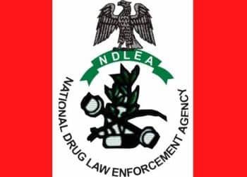 NDLEA intercepts China, UK-bound drug consignments