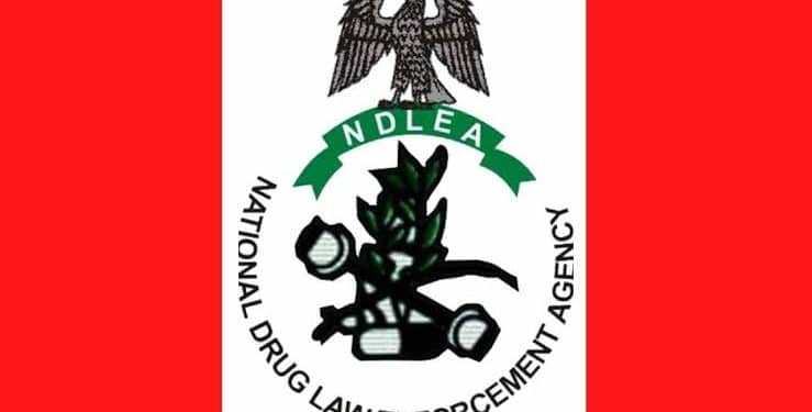 NDLEA intercepts China, UK-bound drug consignments