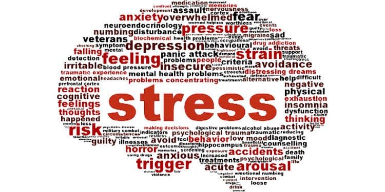 Expert cautions Nigerians against stress-inducing work conditions