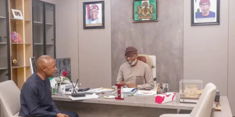 FG to enforce compliance of mining coys to environmental standards