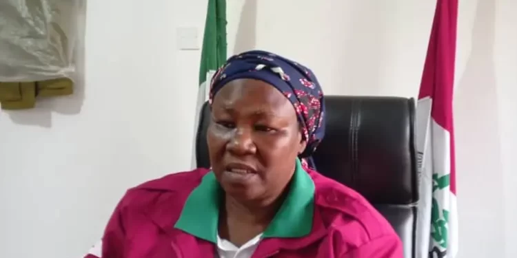 NDLEA arrests 100 suspects, seizes 290kg of illicit drugs in C’River