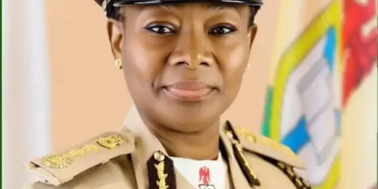 E-border solution’ll help check transborder-related crimes, says immigration chief