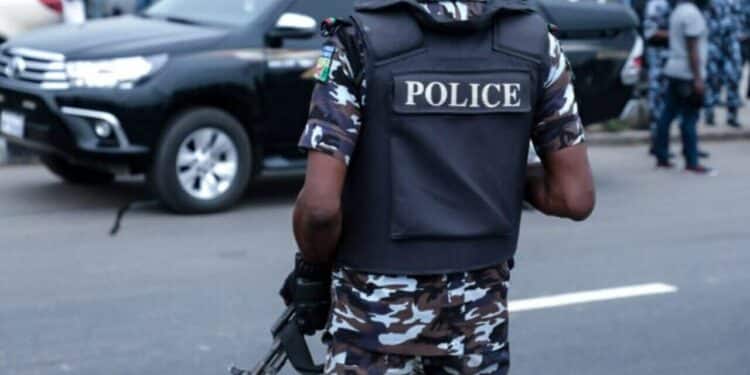 Time to embrace state police is now -AIG