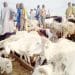 Eid-el-Kabir: Epe residents lament high cost of livestock