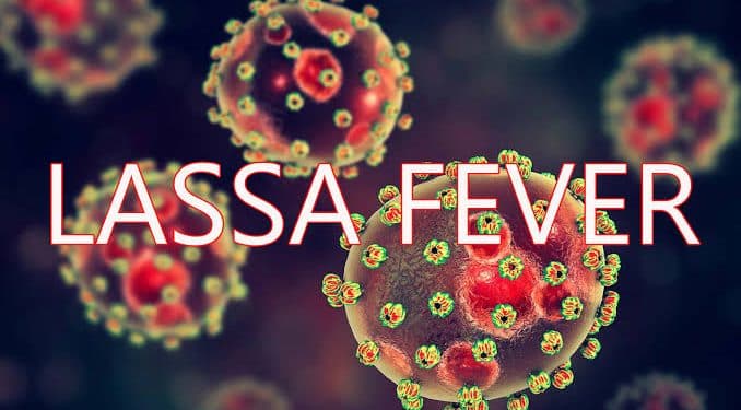 Lassa Fever cases rise significantly with 162 deaths in 2024