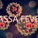 Lassa Fever cases rise significantly with 162 deaths in 2024