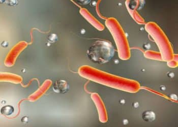 Lagos govt alerts on Cholera outbreak, records 5 deaths