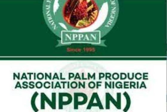 Oil palm producers caution against foreign involvement in primary production