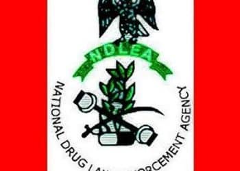 NDLEA arrests 21 suspected drug traffickers, intercepts 28,622kg illicit drugs