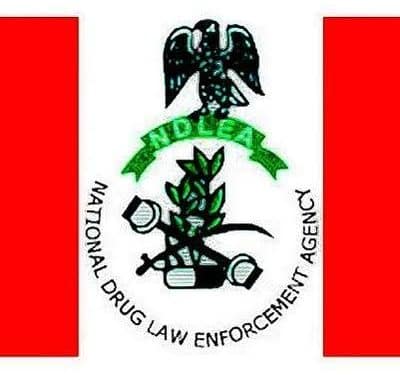 NDLEA arrests 21 suspected drug traffickers, intercepts 28,622kg illicit drugs