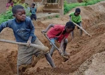 Child labour: Survivors narrate ordeals, urge law enforcement