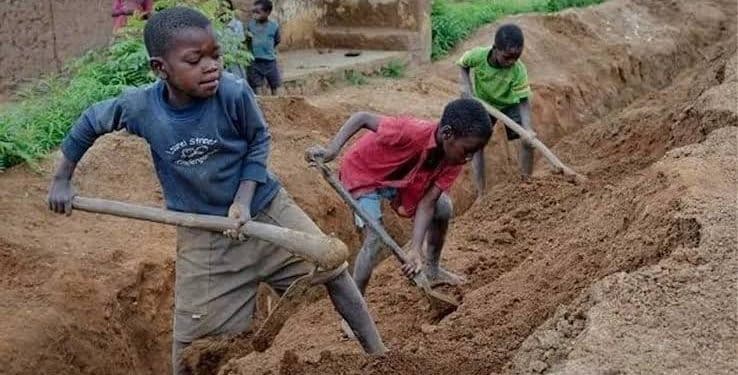 Child labour: Survivors narrate ordeals, urge law enforcement