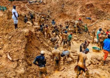 Why 387 arrested illegal miners should be thoroughly investigated – CSO