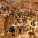Why 387 arrested illegal miners should be thoroughly investigated – CSO
