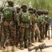 Troops, hunters foil insurgents’ attempt to vandalise power towers in Yobe