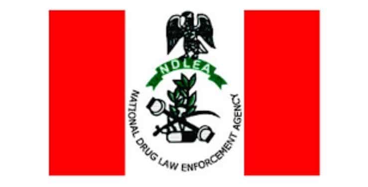 NDLEA creates 5 new strategic commands, deploys body cameras