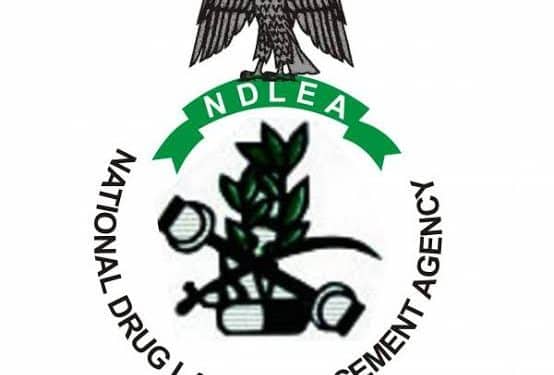 Alt="National Drug Law Enforcement Agency Logo"