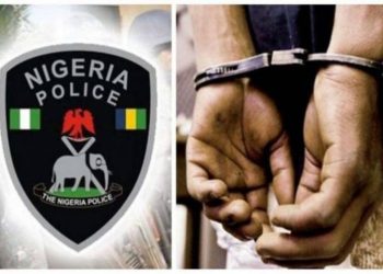 Alt="Police arrest woman for alleged diversion of company’s N3m"