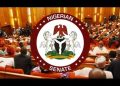 Senate dismisses allegations of ‘self-determined’ salaries