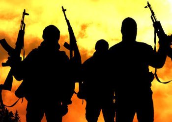 Gunmen kidnapped medical students in Benue — police