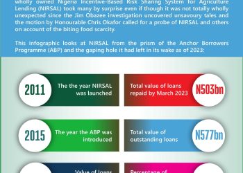 CBN’s bold move at NIRSAL – Toni Kan