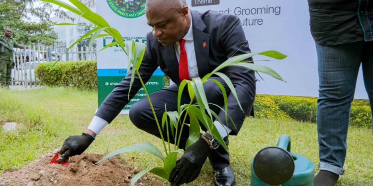 Group Managing Director/CEO, United Bank for Africa, Oliver Alawuba, planting a tree at the flag-off of UBA Foundation’s Tree Planting Initiative, where the Bank plans to plant two million trees across Africa in 2024,   held at the UBA Foundation Garden in Marina, Lagos.
