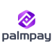 Palmpay unveils USSD code for enhanced financial access