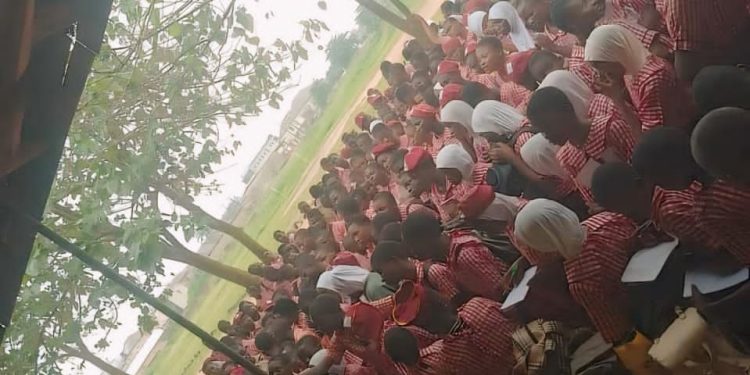 On Career Day, activist gives students pep talk on career choices, growth mindset