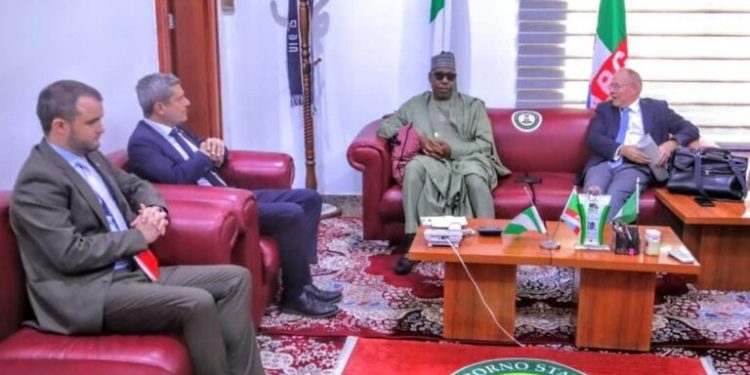 Flood: Swiss Govt donates €1.2m to Borno