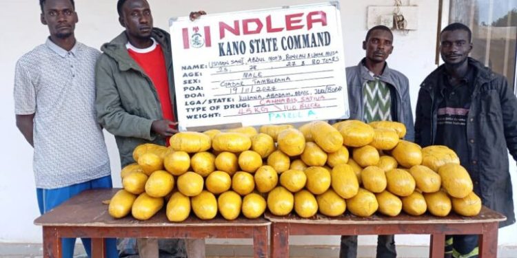 Alt="Drugs and suspects intercepted by the NDLEA operatives"