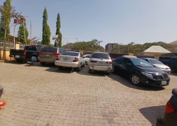 NDLEA seizes six vehicles, 40ft trailer load skunk in Abuja